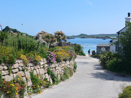 Stage 10 jours - Scilly / Cornouaille